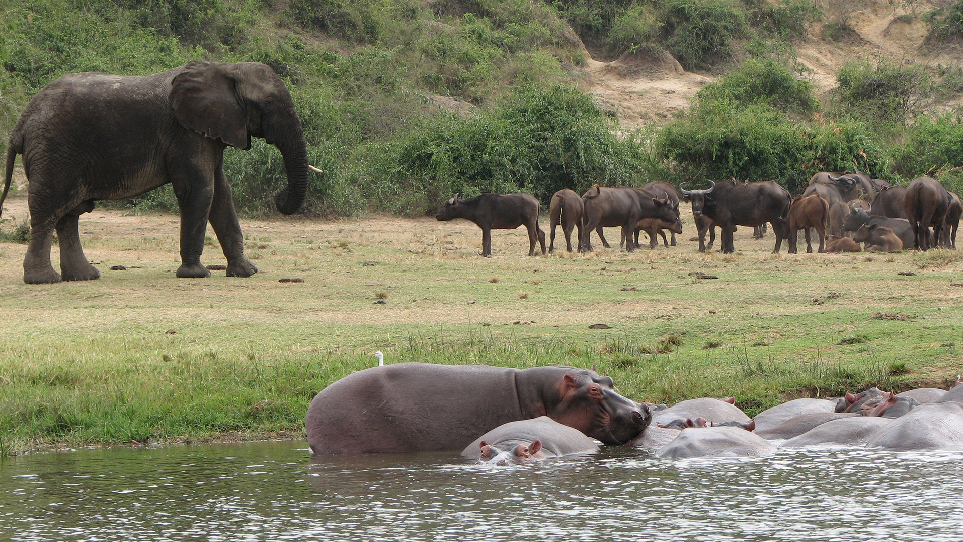 2 Days 1 Night Hot Springs Safari