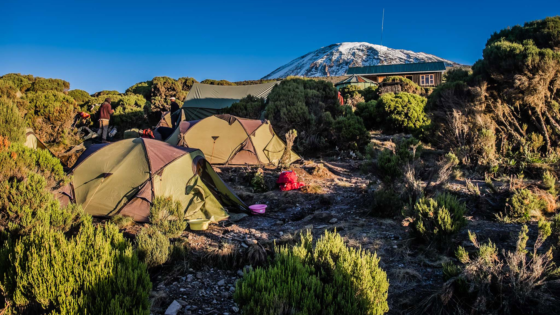 10 Days Kilimanjaro Detailed Itinerary 