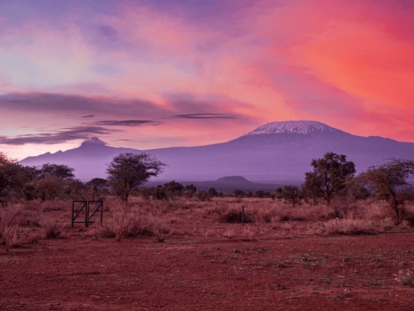 Amboseli scene with soft light and a calm early-morning atmosphere