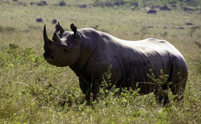 4457379350 24a4bb4c8c b