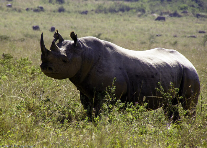 4457379350 24a4bb4c8c b