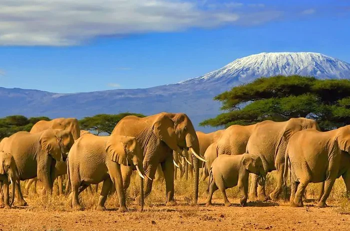 amboseli park e1579849242481.jpg