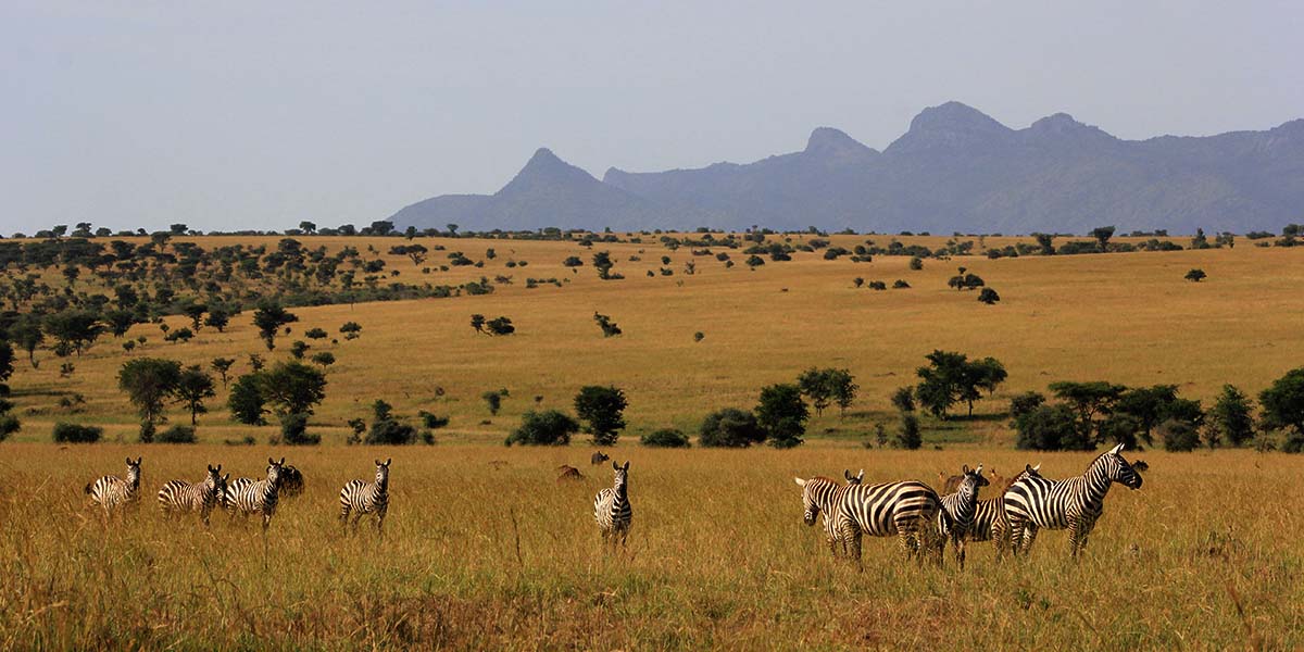 Lake Mburo NP