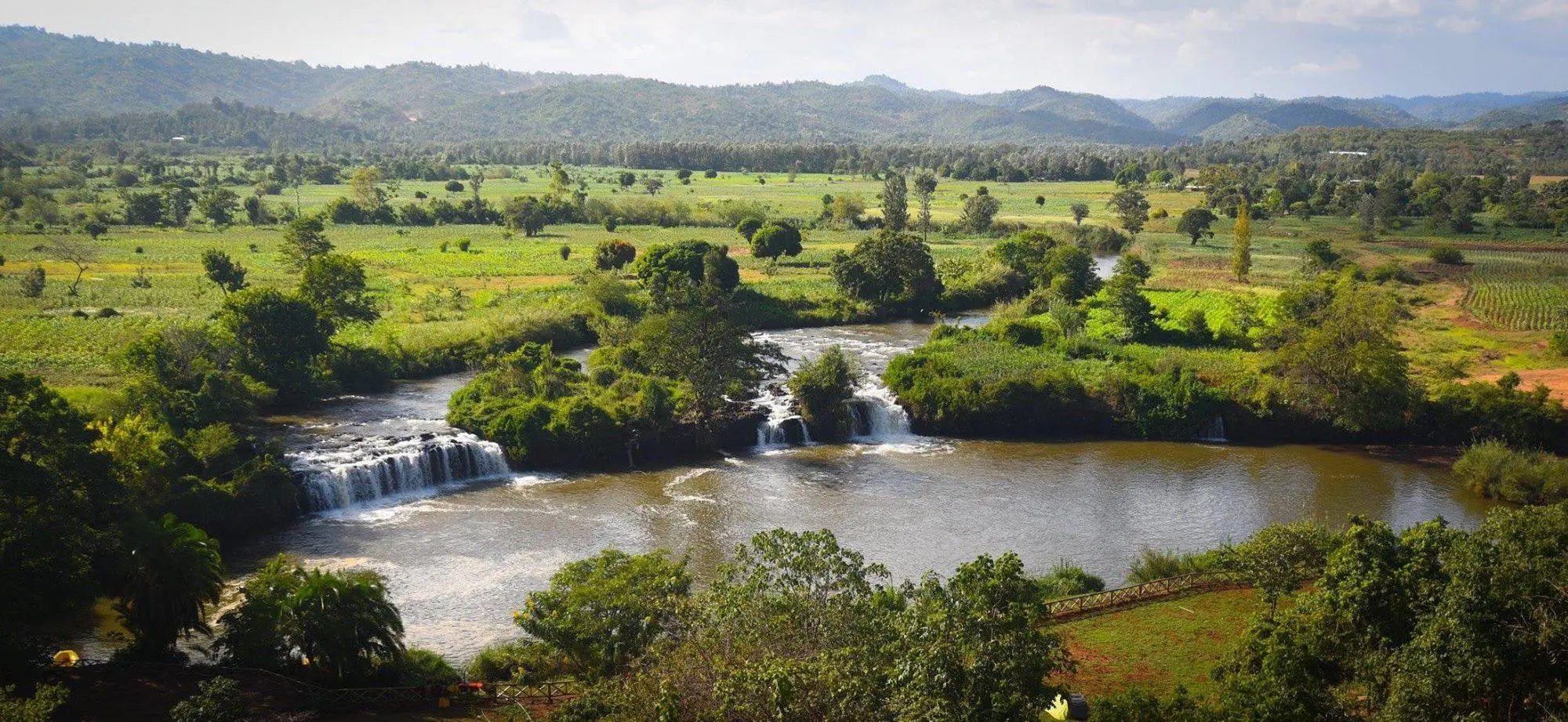 sagana